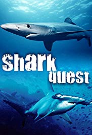 Shark Quest (2003)