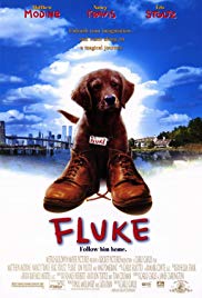 Watch Full Movie :Fluke (1995)