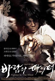 Watch Full Movie :Fighter in the Wind (2004)