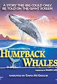 Humpback Whales (2015)