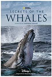 Secrets of the Whales (2021)