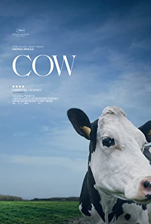 Cow (2021)