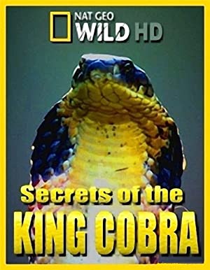 Secrets of the King Cobra (2010)