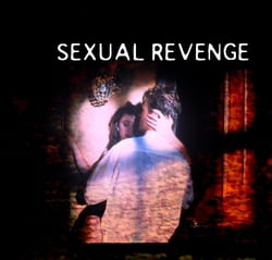 Sexual Revenge (2004)