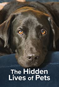 Watch Full Tvshow :The Hidden Lives of Pets (2022)