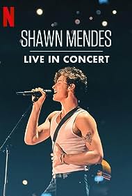 Shawn Mendes Live in Concert (2020)