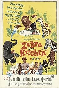 Zebra in the Kitchen (1965)