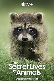 The Secret Lives of Animals (2024-)