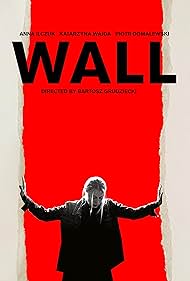 The Wall (2019)