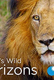 Watch Full Tvshow :Africas Wild Horizons (2015 2016)