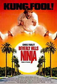 Beverly Hills Ninja (1997)