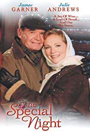 One Special Night (1999)