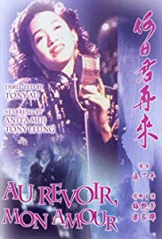 Au revoir mon amour (1991)