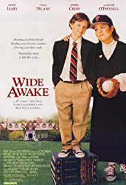 Wide Awake (1998)